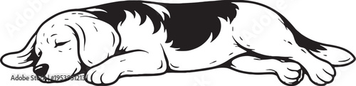Beagle Sleeping on Side Relaxed Pose Black and White Line Art Illustration