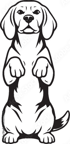 Beagle Sitting Beg Pose Black and White Illustration