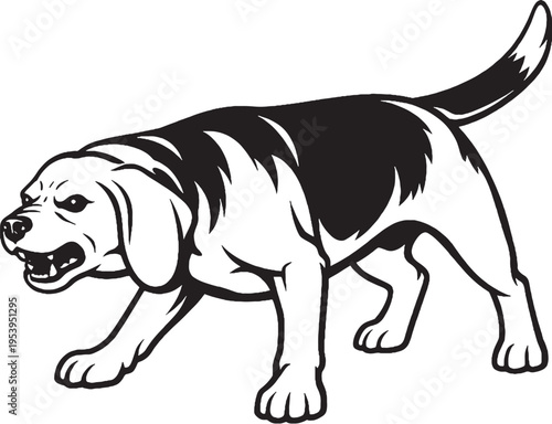 Beagle Growling Low Guard Stance Black and White Line Art Illustration
