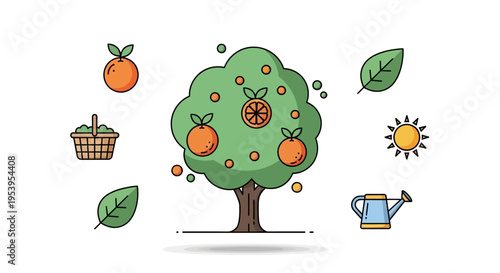Tree with oranges and green leaves.