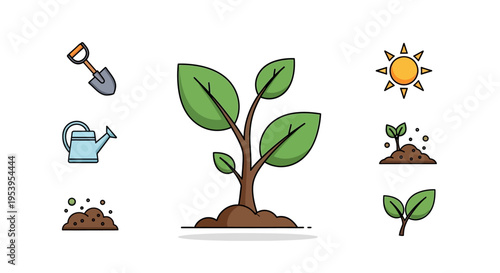 Green plant growing from brown soil.