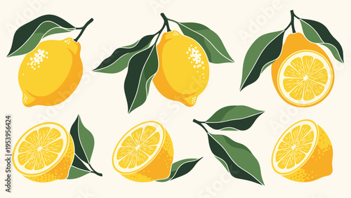 Set of detailed botanical illustrations showing whole and sliced lemons with green leaves in a realistic yet artistic vector style.