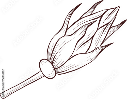 Black and white engraving style illustration set of tea cup, tea pot, tea leaves, tea bag and rose hip flowers and berries, detailed linework for packaging, social media, menu