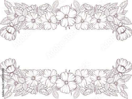 Black and white engraving style illustration set of tea cup, tea pot, tea leaves, tea bag and rose hip flowers and berries, detailed linework for packaging, social media, menu