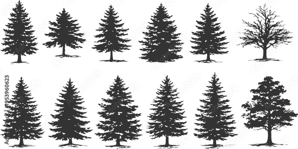 Obraz premium A collection of twelve distinct black silhouette tree designs isolated on a plain white background