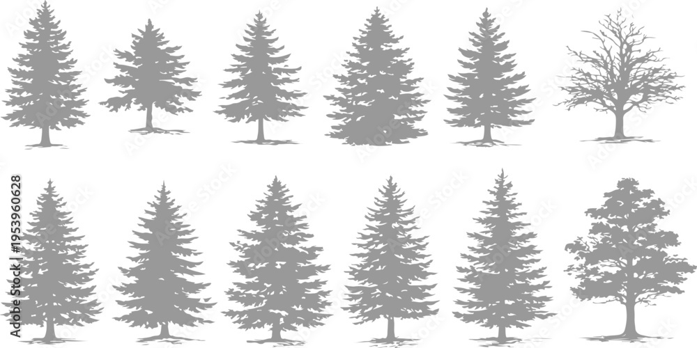 Fototapeta premium A collection of twelve gray silhouette tree icons isolated on a plain white background for design