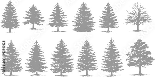A collection of twelve gray silhouette tree icons isolated on a plain white background for design