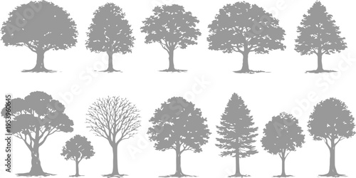 A collection of ten diverse tree silhouettes isolated on a plain white background for design use