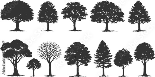 A collection of various tree silhouettes showing different species and seasonal growth patterns