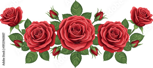 Red Rose Floral Border Arrangement with Blooming Roses Buds and Green Leaves Romantic Botanical Decoration Vector Illustration