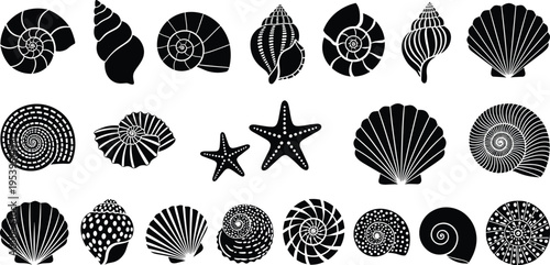 Sea shell silhouette illustration with starfish, spiral shells, conical shells, fan shapes, marine life design, ocean artwork, decorative vector pattern, coastal theme