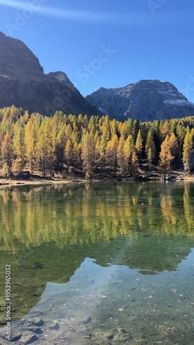 Golden Larch Trees by Lago di San Pellegrino – 4K Vertical Landscape