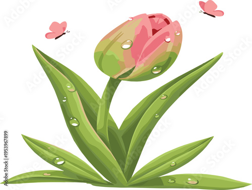 Fresh Tulip Flower Illustration with Dew Drops, Green Leaves, and Butterflies for Spring Designs, Nature, and Floral Art