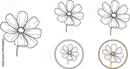 Minimalist Daisy Flower Illustration Set with Line Art, Circular Frames, and Elegant Detailing for Logo Design, Branding, and Decorative Artwork