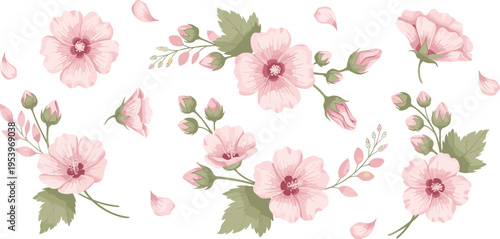 Delicate Pink Flower Illustration Set with Blossoms, Buds, and Petals for Floral Designs, Wedding Invitations, and Spring Decorations