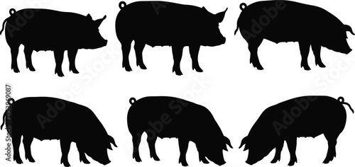 Pig Silhouette Collection with Farm Animal Shapes, Swine Livestock Silhouettes for Butcher Shop Signage, Pork Meat Industry Icons, and Farming Illustrations