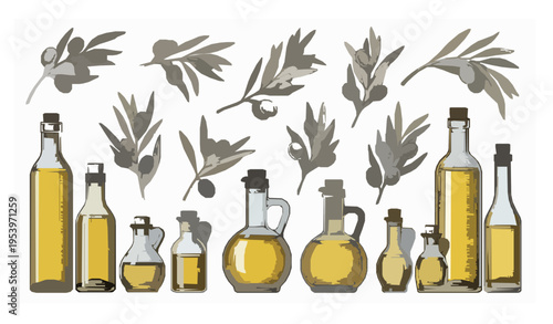 Vintage olive branches and oil bottles vector set hand drawn botanical illustration isolated on white background