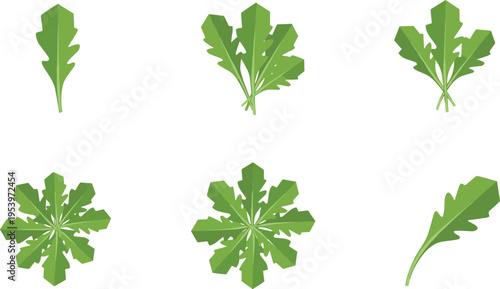 Parsley leaves collection with flat green herb elements, different shapes and top views in simple botanical vector illustration set