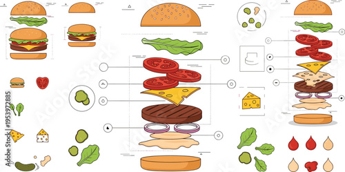 Burger making process with layered ingredients bun lettuce tomato cheese beef patty and sauce flat vector illustration set