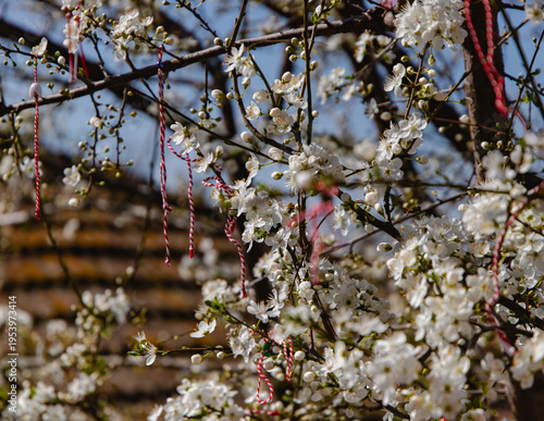 The Martenitsa ritual involves making an ornament from red and white threads to celebrate spring and wish for health and abundance. A wish is made, and it is tied to a blossoming fruit tree.