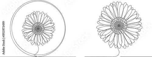 Minimalist one line flower illustration with continuous line art, elegant daisy outline and modern abstract botanical vector design set