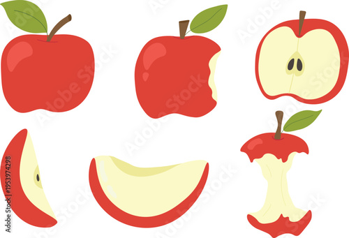 Apple set vector illustration on the transparent background – whole, half, slice, bitten and core red apples collection. 