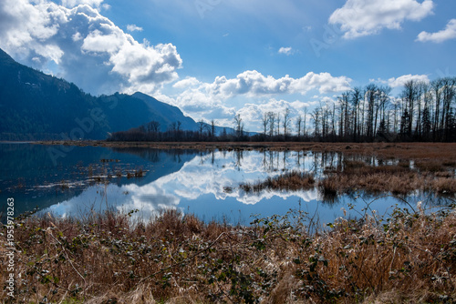 Serene Pitt-Addington Marsh in winter with reflected trees, BC