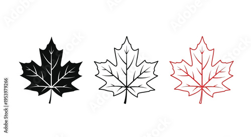 Three maple leaves in varying colors a striking silhouette