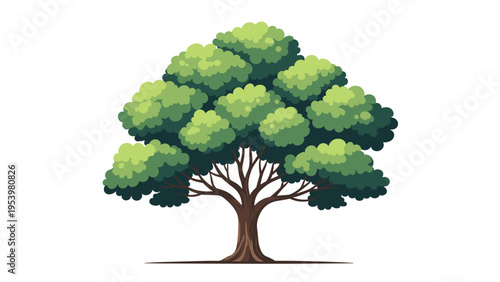 Detailed illustration of a large leafy green tree with a sturdy brown trunk and branches, isolated on a clean white background.