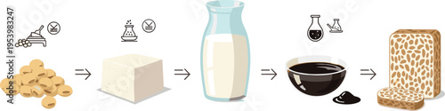 Soybean processing stages from beans to tofu milk sauce and tempeh production process infographic vector illustration set