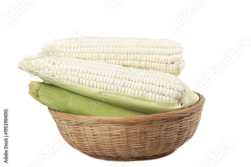 Fotografía Fresh White Corn Cobs in Wicker Basket Isolated on White Background