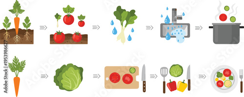 Vegetable farm to table process with growing washing cooking and serving fresh food infographic vector illustration set