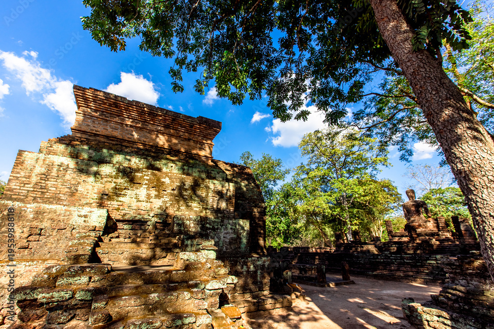 Fototapeta premium A natural backdrop of diverse trees growing along rivers or within historical parks provides a scenic view for tourists to admire along their journey.