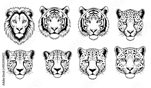 Black and white big cat head vector set lion tiger leopard cheetah snow leopard tattoo style wildlife illustration
