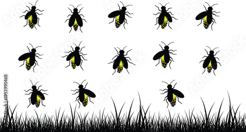 "Vector illustration of glowing fireflies with yellow abdomens hovering above grass silhouettes arranged in decorative patterns isolated on white background for nature and design projects"