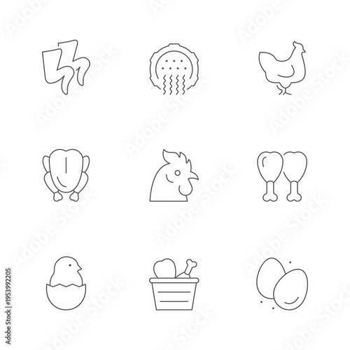 Set line icons of chicken