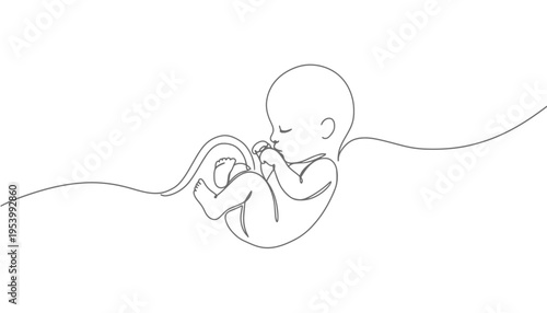 A baby fetus vector illustration in a curled up sleeping position