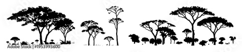 African trees set with black silhouettes and isolated images featuring savannah nature, forest landscape with acacia icons and natural elements