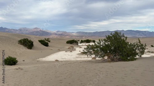 steady view of the Mesquite Flat Sand Dunes in Death Valley National Park. Featuring desert shrubs, rolling sand dunes, and mountain ranges under an overcast sky.