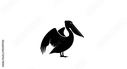 Black Pelican Bird Silhouette Side View.