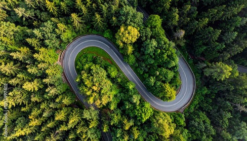 Winding Road Through Forest Canopy Aerial View Nature Scenery and Serpentine Curve for Travel Adventure or Scenic Journey.