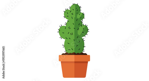 Green cactus in terracotta pot plant.