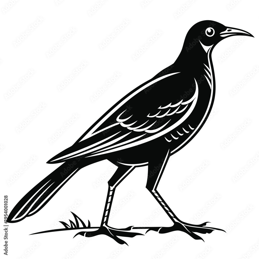 Obraz premium Rail Bird Illustration with Long Tail Vector