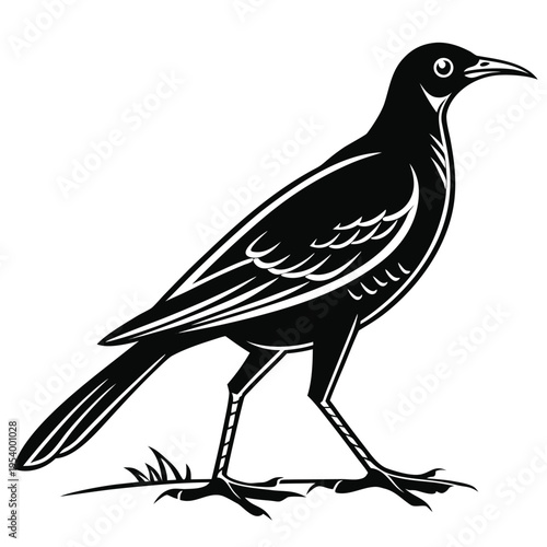 Rail Bird Illustration with Long Tail Vector

