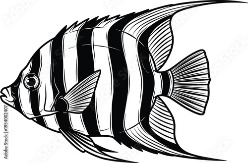 Angelfish vector illustration, striped tropical sea fish silhouette, black and white marine animal art, isolated aquatic wildlife, ornate design
