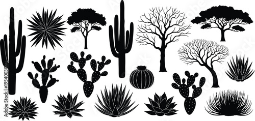 "Vector collection of desert plant and tree silhouettes including cactus, agave, and arid landscape species isolated on white background for botanical, decorative, and design projects"