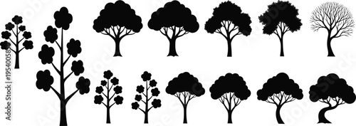 Vector illustration of diverse tree silhouettes with varied trunk thickness, branch structures, canopy shapes, botanical design, nature concept