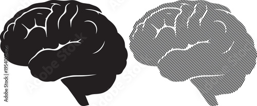 Comparison of human brain hemispheres with distinct visual textures