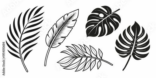 Diverse collection of tropical and deciduous leaves