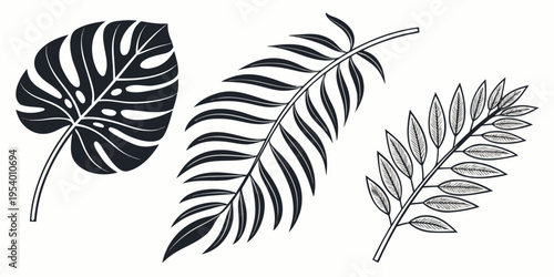 A collection of tropical leaves showcasing nature's diverse foliage patterns and shapes